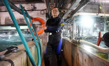 Underwater World head diver killed by stingray