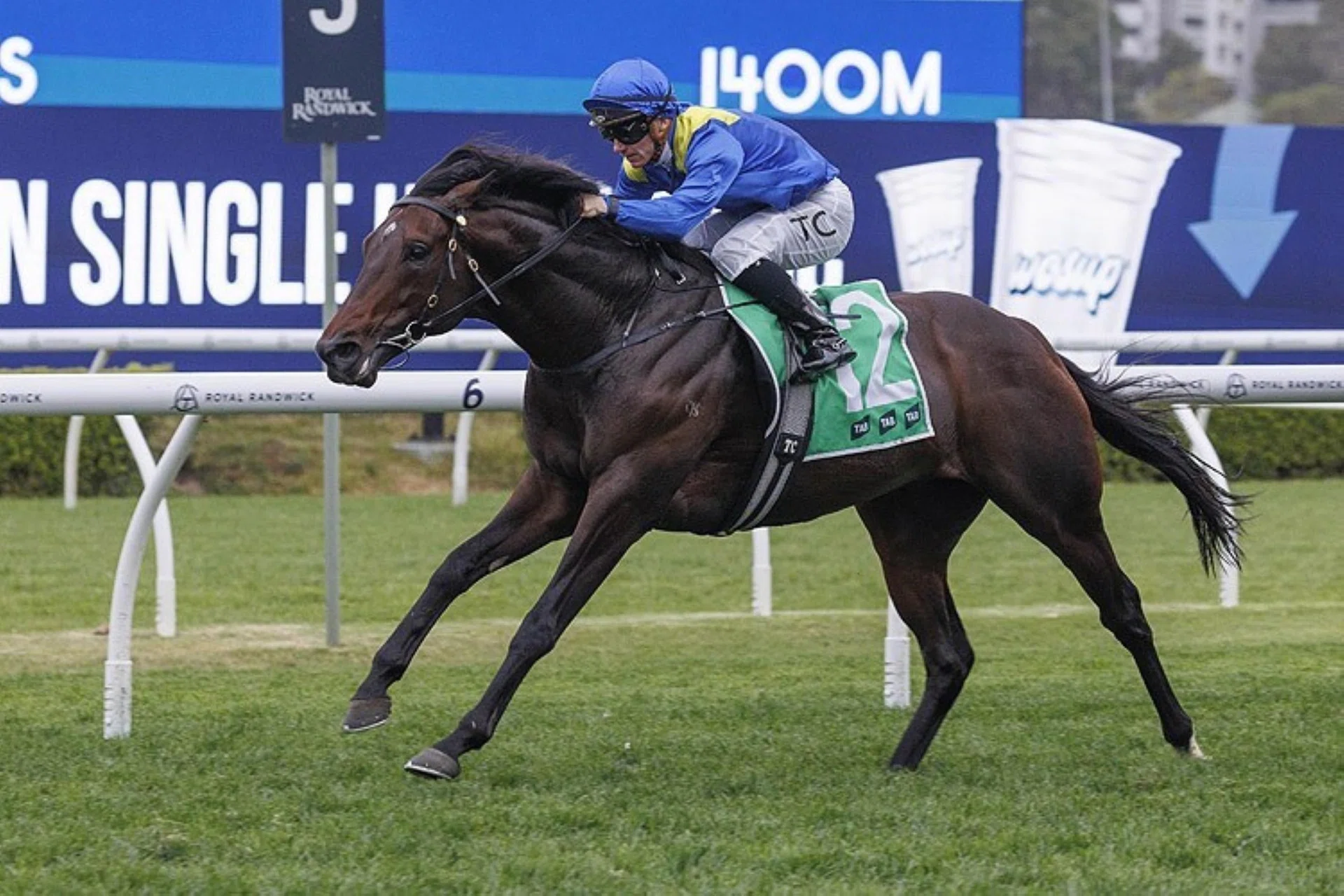 Royal Patronage (Tim Clark) landing the Group 2 Tramway Stakes (1,400m) at Randwick on his Australian debut on Sept 7, 2024.