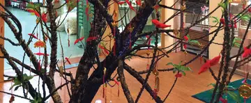 Singaporean woman pays $3,888 for potted CNY plant