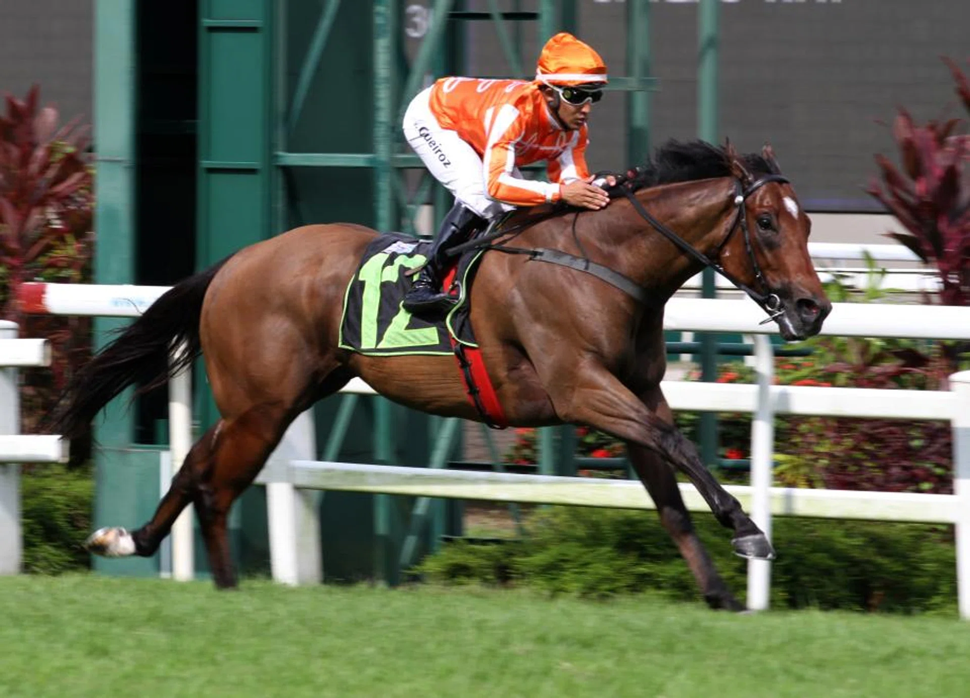 Pacific Vampire (giving Bruno Queiroz an armchair ride in a Class 3 1,200m race on April 27) is still ship-shape, evident by his 40.3sec hitout on the training track with Marc Lerner aboard on May 14.