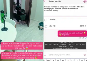 Woman appeals to Foodpanda rider to help catch cockroach in flat