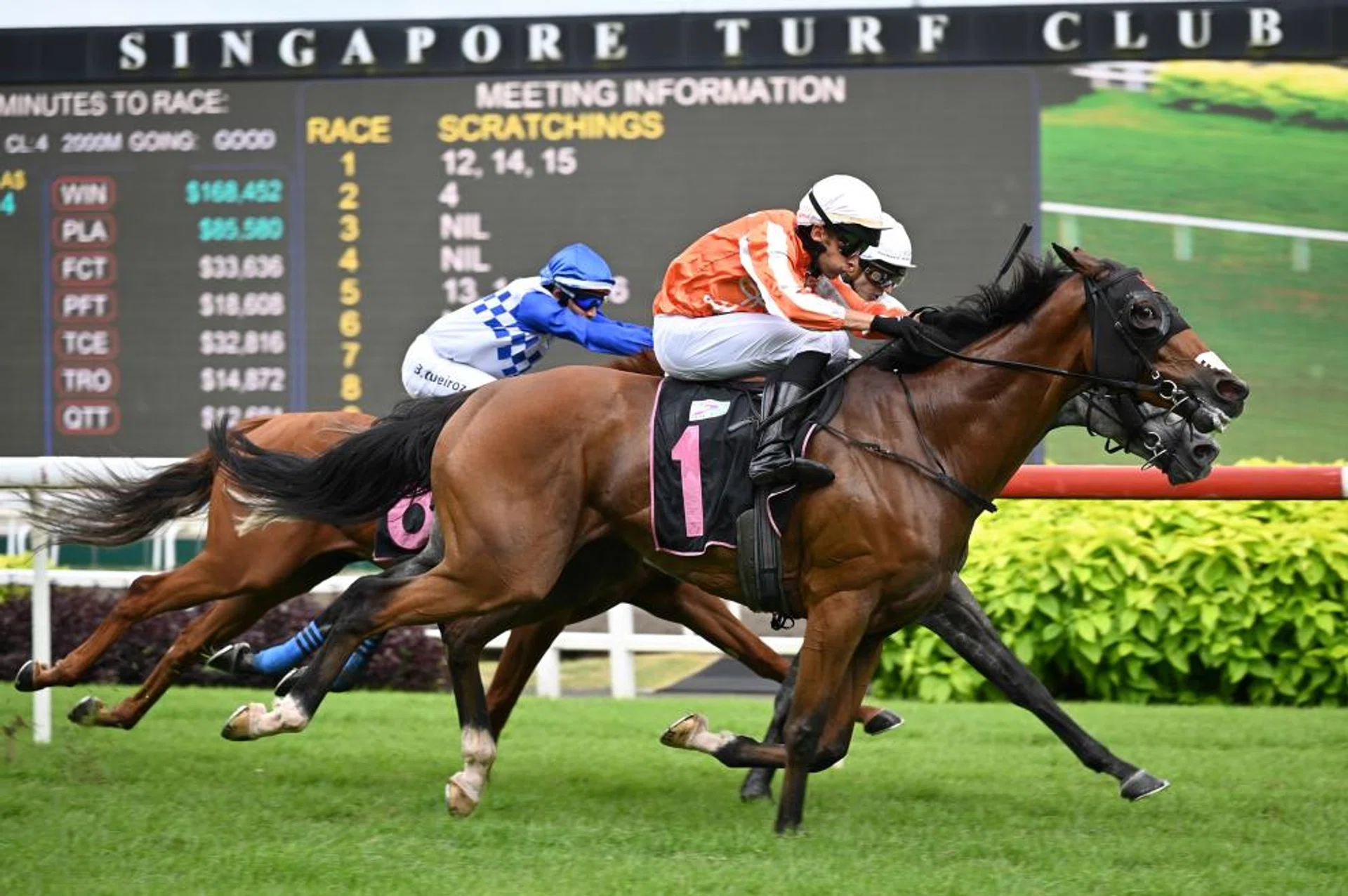 Pacific Bao Bei (Marc Lerner) victorious at Kranji on Feb 24. The five-year-old will be making his Kuala Lumpur debut on Nov 24 for his new trainer David Kok.