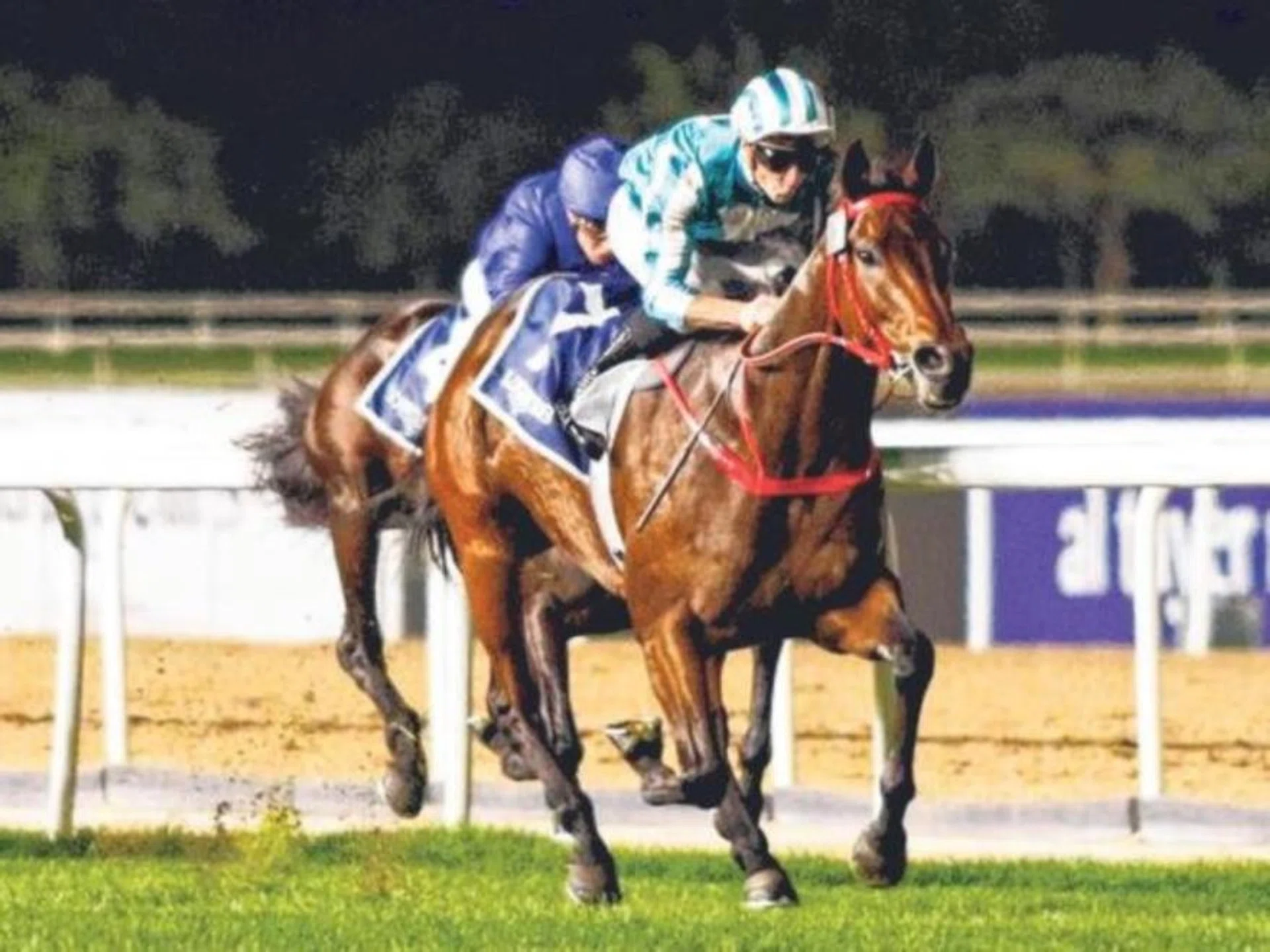 Hong Kong champion galloper Romantic Warrior (James McDonald) capturing the Group 1 Jebel Hatta (1,800m) at Meydan on Jan 24.
