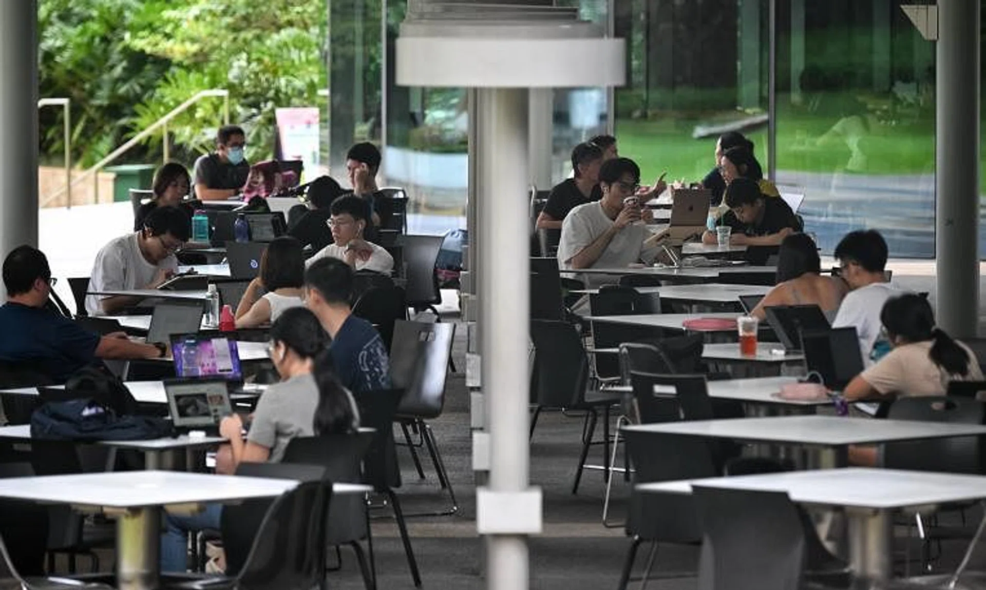 The scholarship covers course fees, including tuition and examination fees, for students.