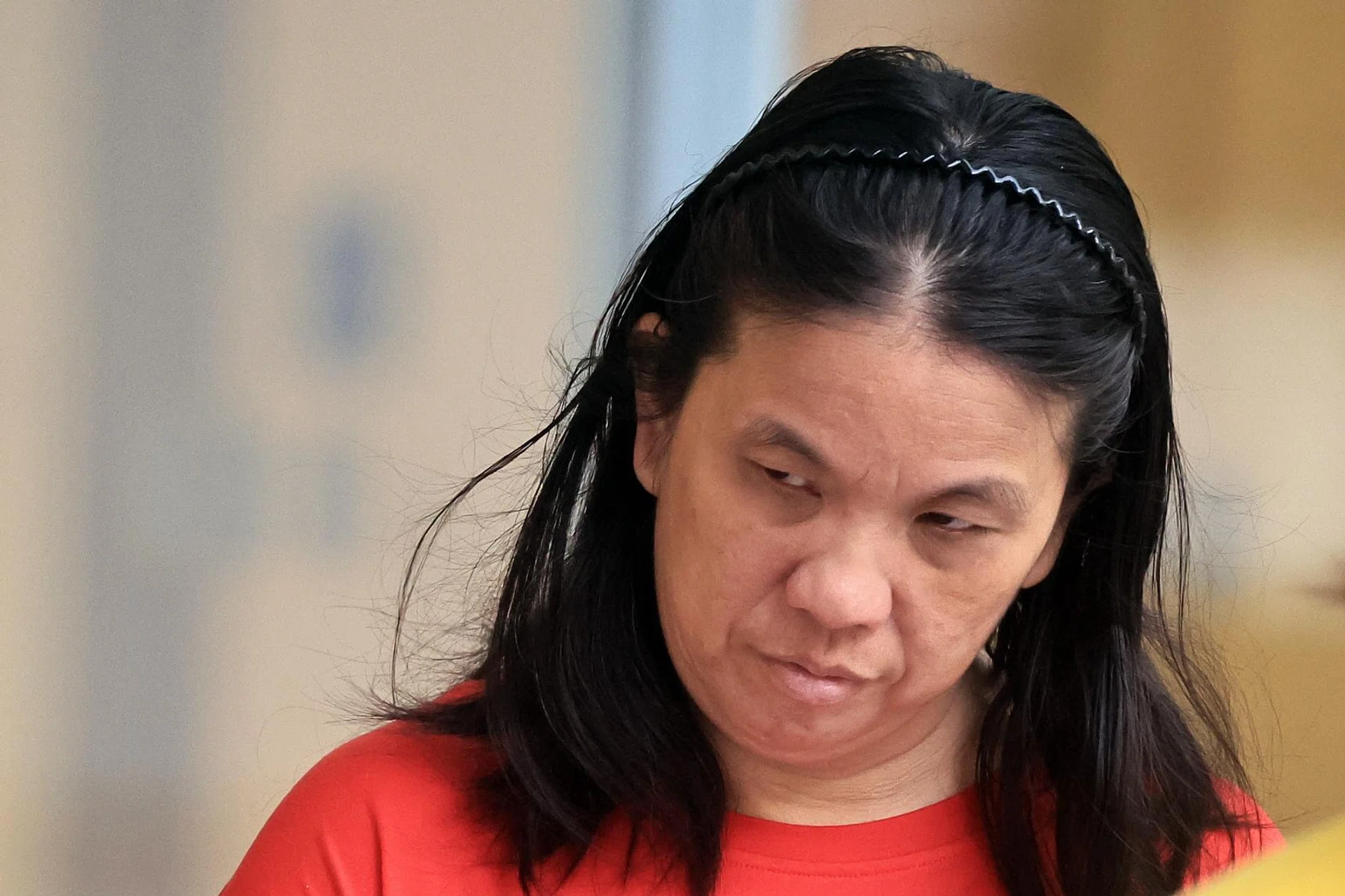 Lim Sok Lay had pleaded guilty on Feb 3 to one count of committing an act of mischief, and a separate charge of using criminal force on an acquaintance.