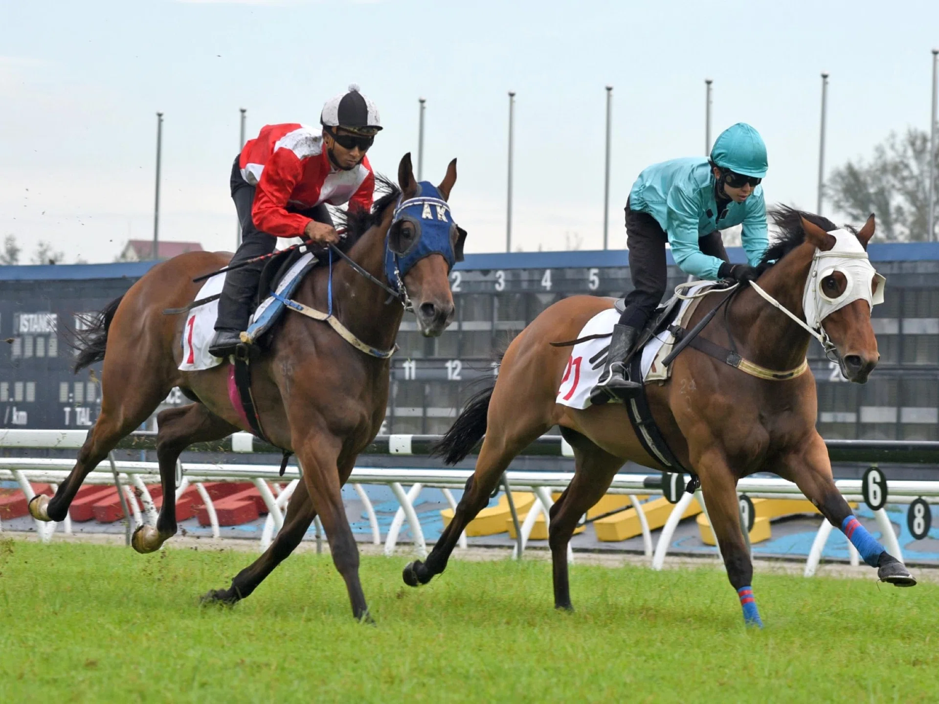 After locking horns with Warrior Sixty-One (Clyde Leck) for most of the 1,000m journey in barrier trial No. 2 at Sungai Besi on April 2, Bold Runner (Nuqman Rozi), in blue blinkers, is beaten by a short head on the line. 
