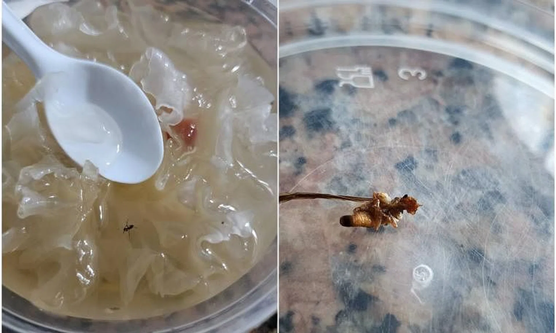 The complaints started coming in from late March, and involved home-delivery catered meals supplied by five web-based businesses.