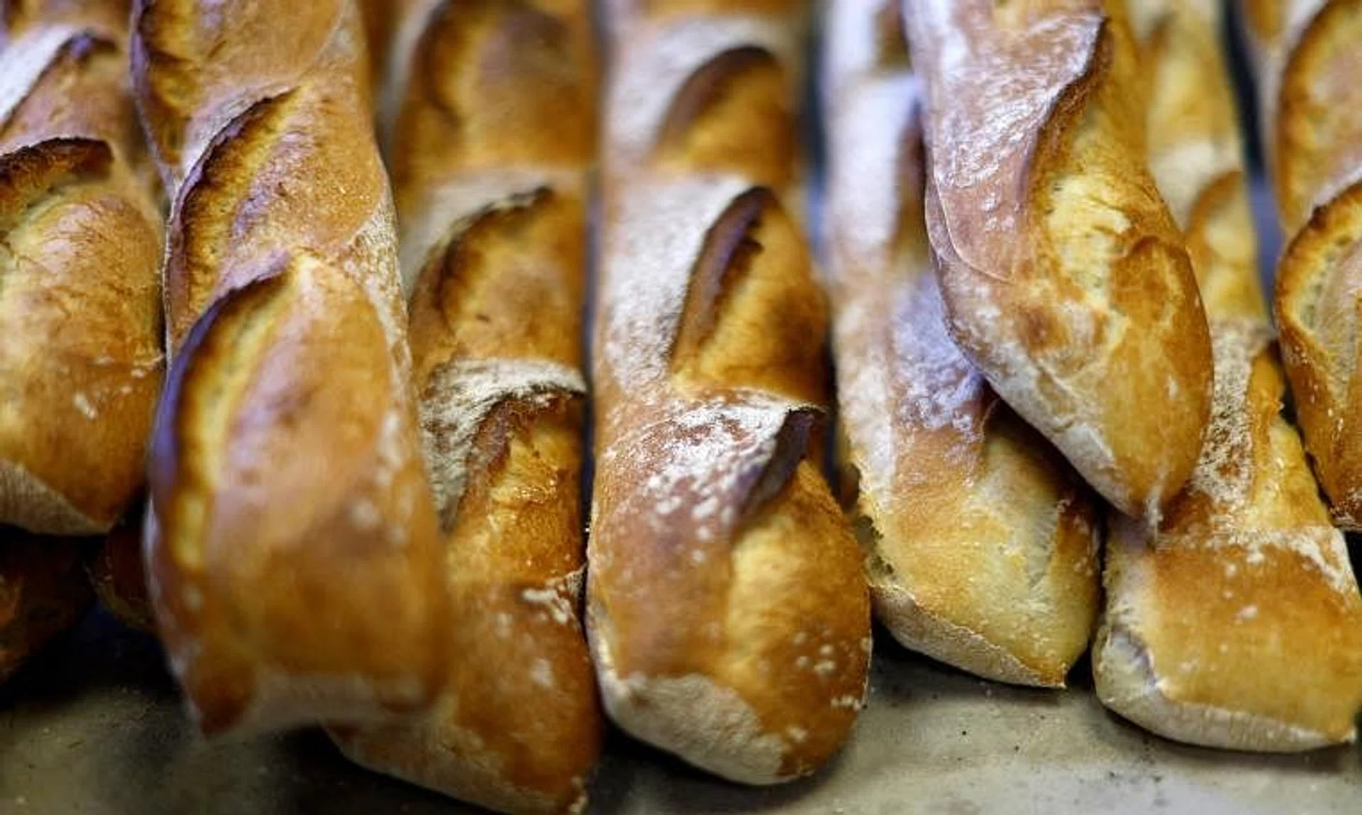 The baguette has been a central part of the French diet for at least 100 years.