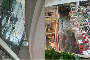 Glass pane falls from height at Star Vista mall, injuring 4