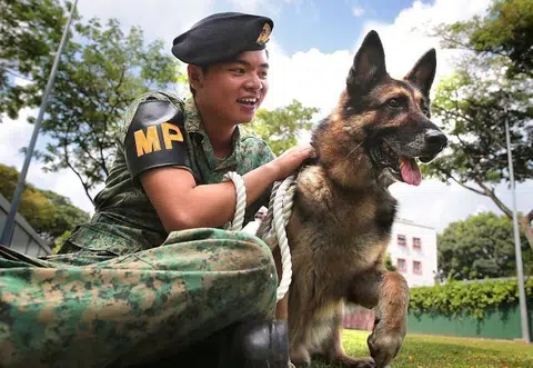 They served the country, now they need a home
