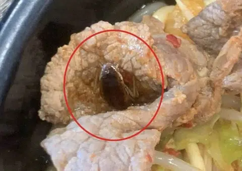 Woman bites into cockroach while having army stew at Korean restaurant in Clementi