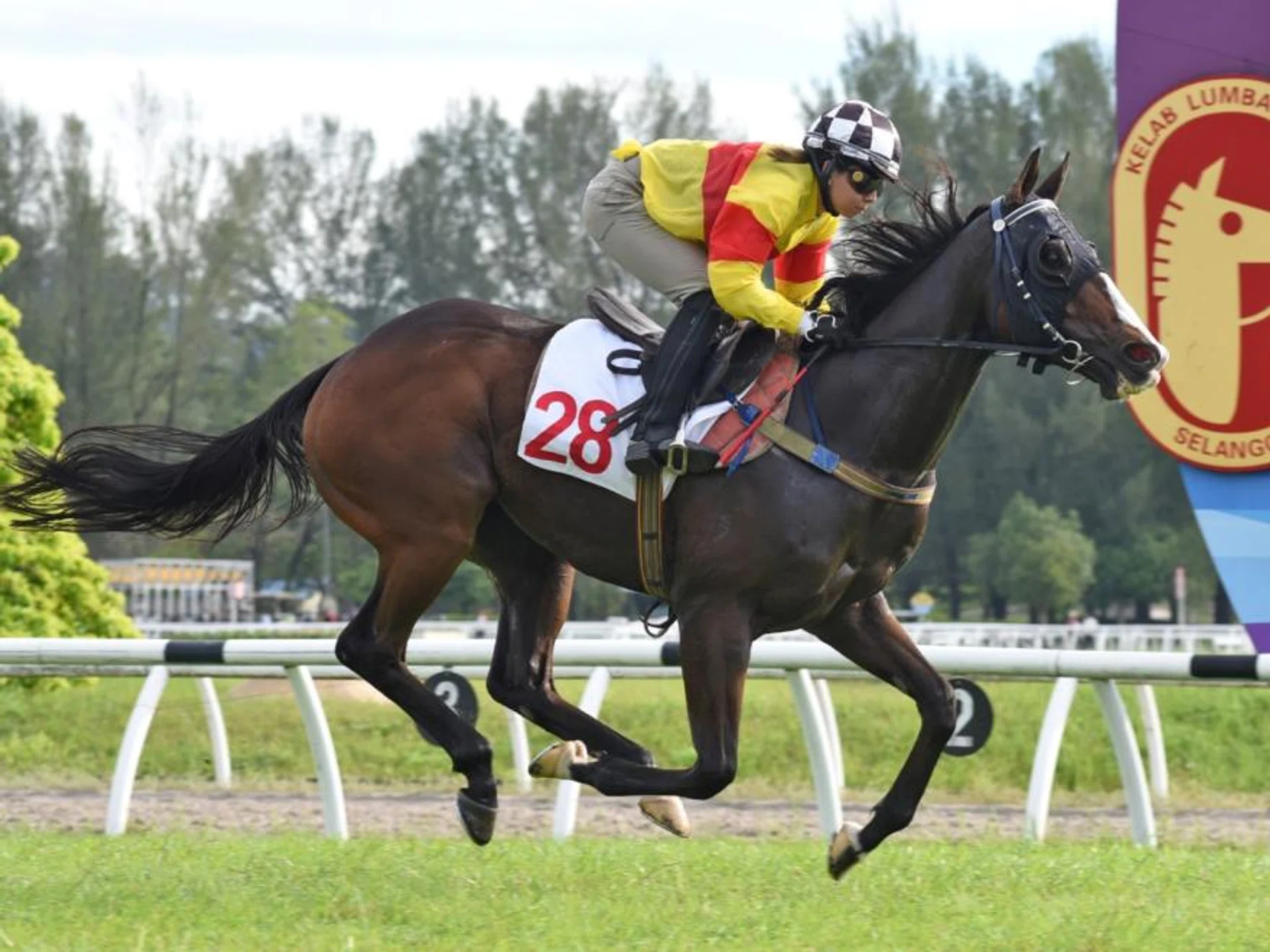 Pacific River (Jerlyn Seow) taking the second trial by 15 lengths and in an impressive time of 1min 00.14sec in Kuala Lumpur on Dec 17.
