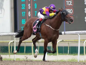 Jinsha to get Lucky again