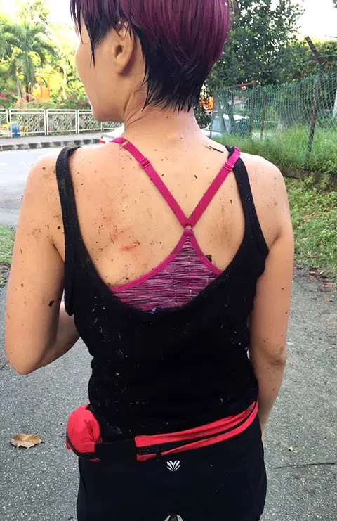 Malaysian blogger attacked while jogging alone