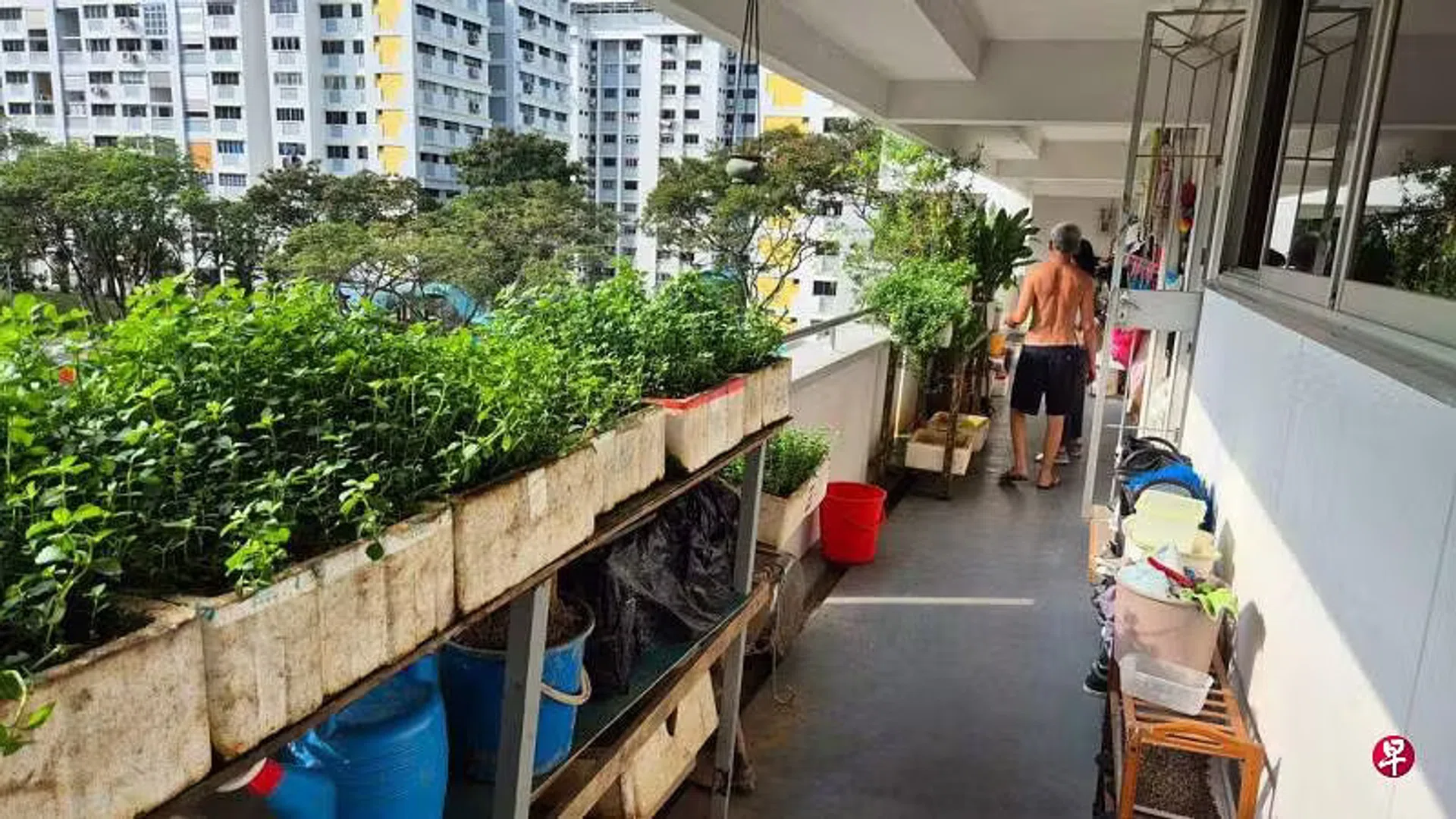 One neighbour said that the stench was "worse than faeces".