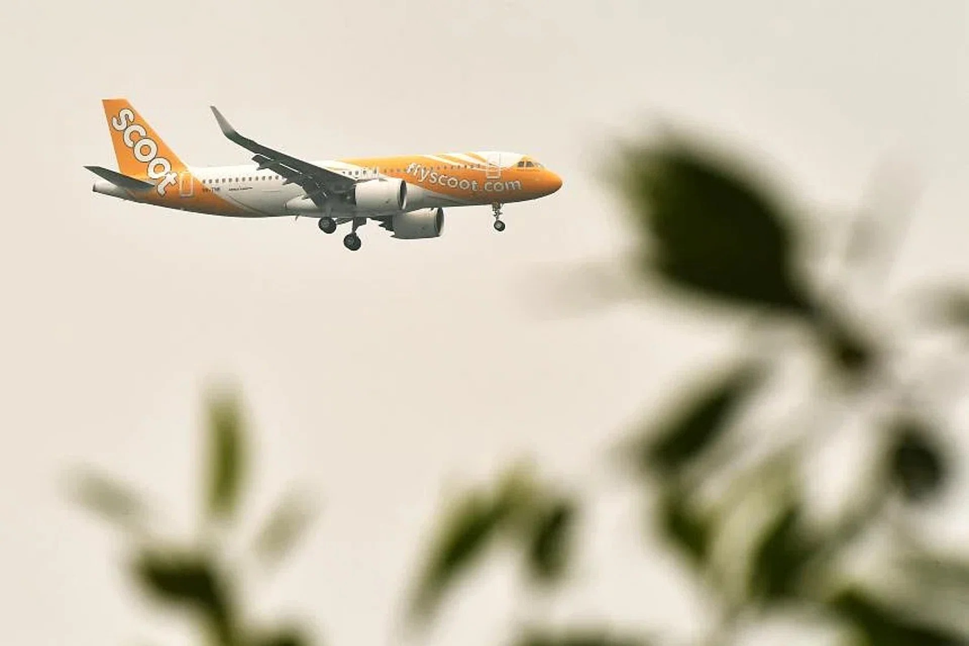 Scoot said all passengers were notified about the change in flight timings. 
