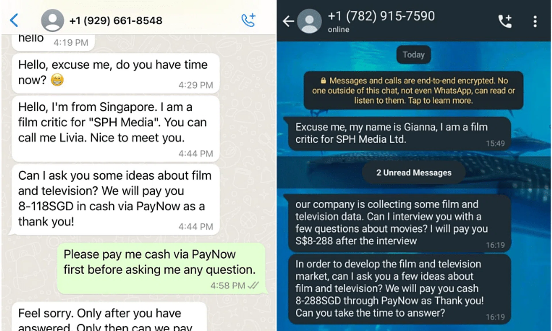 Scammers claiming to be film critics from SPH Media promised rewards of between $8 and $288 to users who answered their questions on WhatsApp.