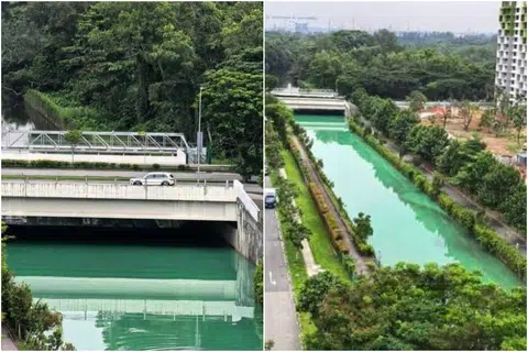 Water in Yishun Close canal turns green