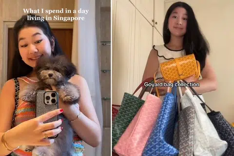 'Stay-at-home daughter' shows off luxury bags, lavish trips on TikTok