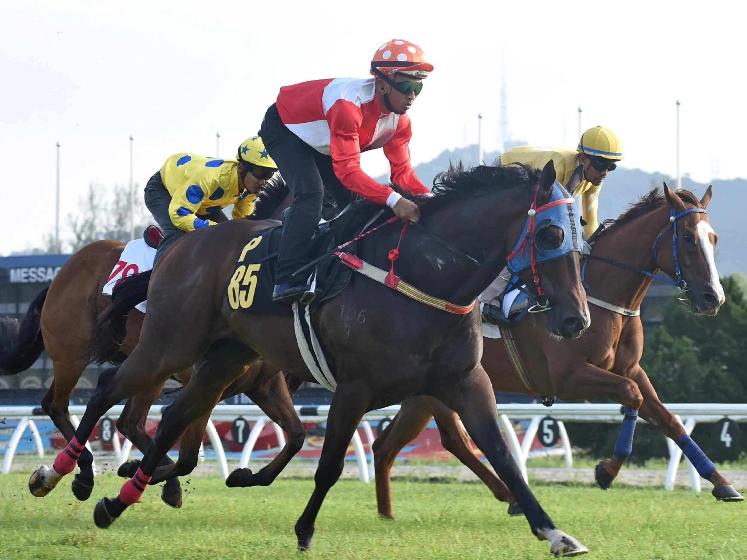 Platinum Fort is holding strong