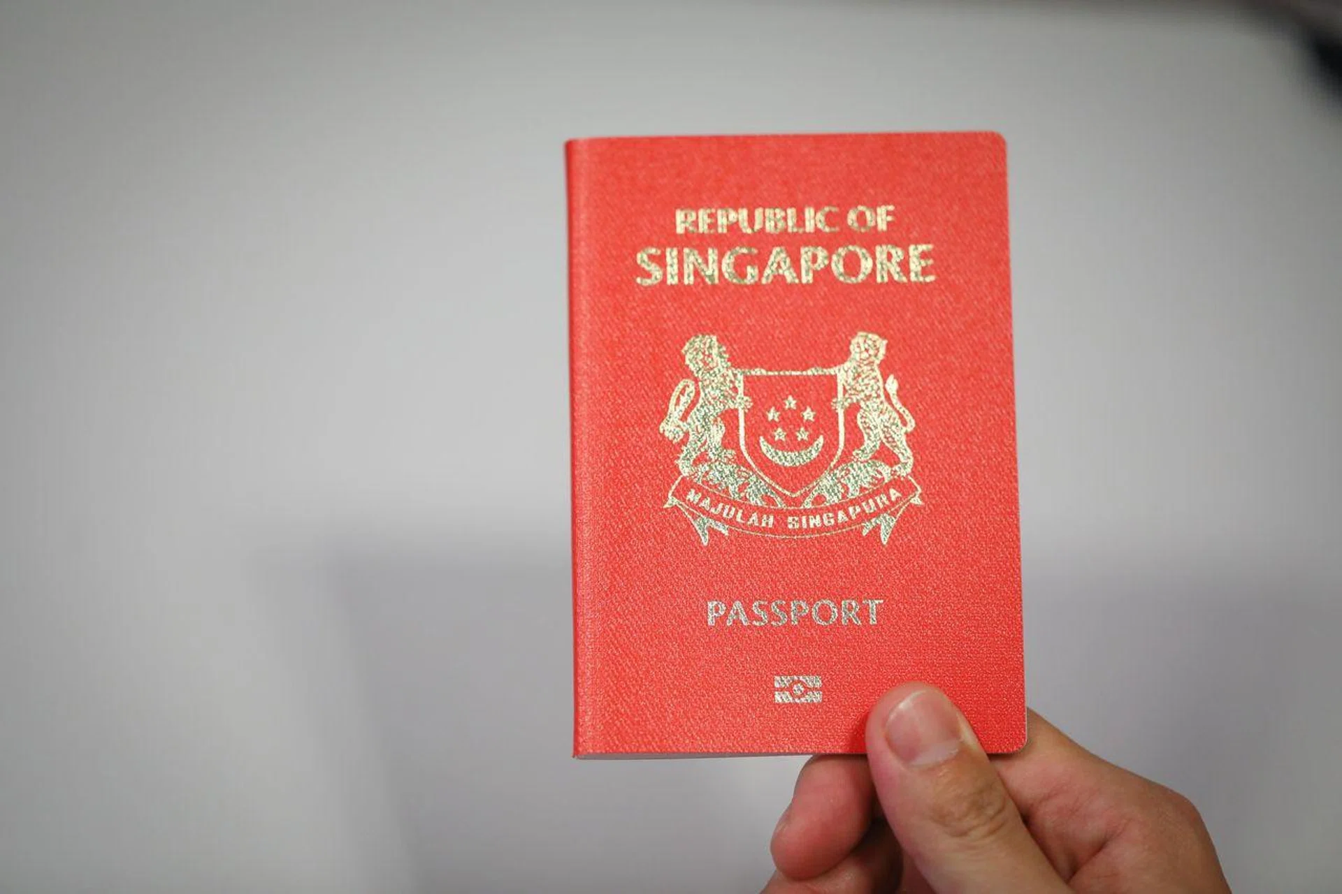 The Singapore passport allows visa-free access to 193 destinations.