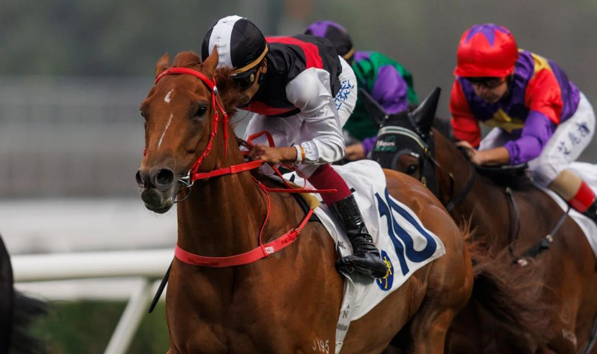 Young Champion was rested for 47 days after a bleeding attack in his first-up run. He should make amends in The Panasonic Cup (1,400m) at Sha Tin on Nov 9.