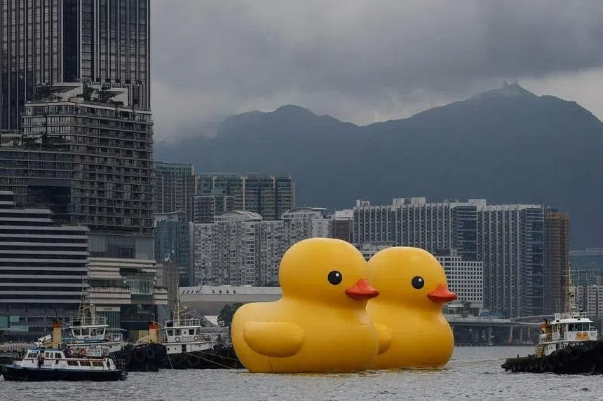 Giant rubber ducks debut in bid to drive 'double happiness