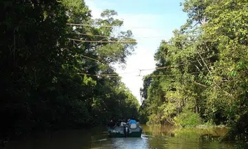 Singaporean hiker found after getting lost in Malaysia's Sandakan forest reserve