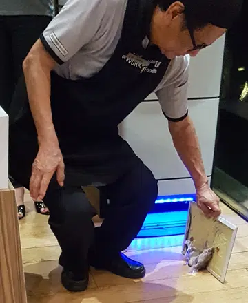 Rat falls in front of man eating lunch at food court