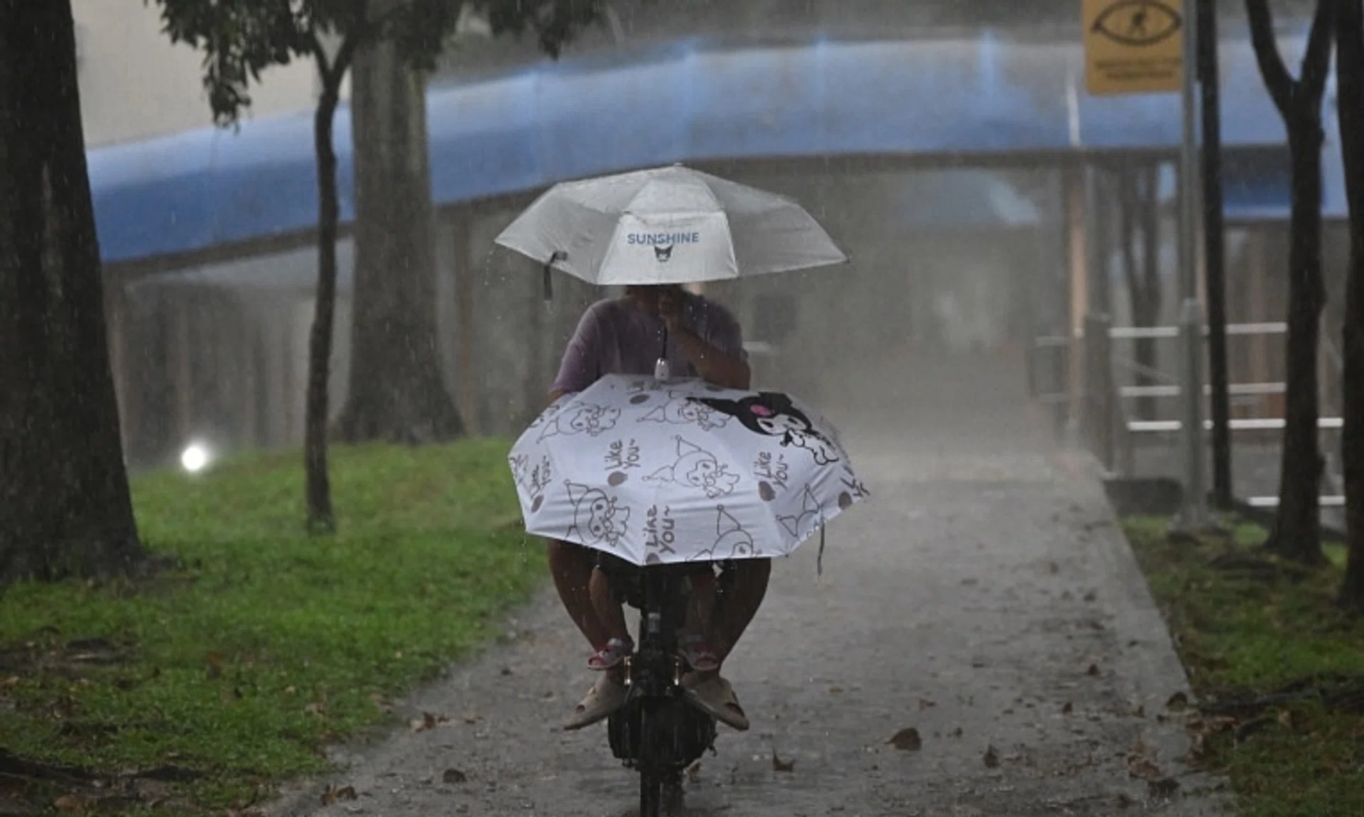 Heavy rain fell over the northern, western and central areas of Singapore on Nov 16.