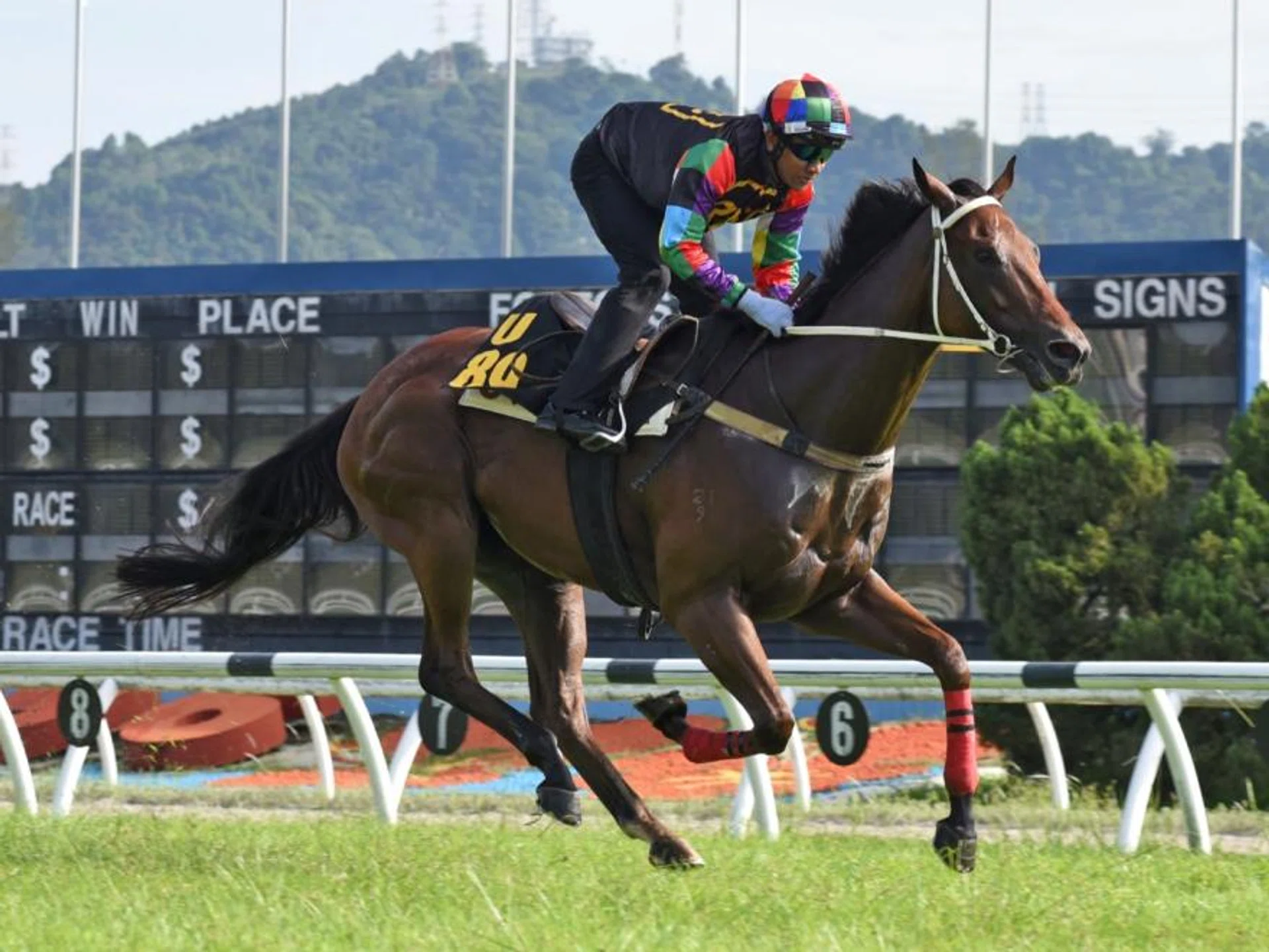 The Charles Leck-trained Cinnamon Blaze (Ruzaini Supien) strolling in by eight lengths at his barrier trial in Sungai Besi on Dec 3.