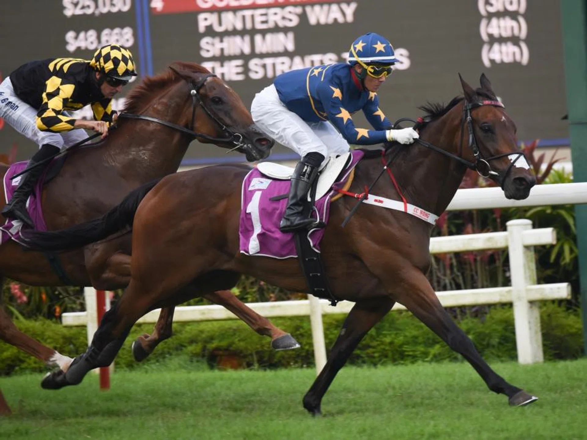 Lim’s Kosciuszko (Wong Chin Chuen) beating Golden Monkey (Hugh Bowman) by one length at his second Lion City Cup win on Aug 27, 2023. The arch-rivals meet again in the Group 1 1,200m contest for the third time on July 28.
