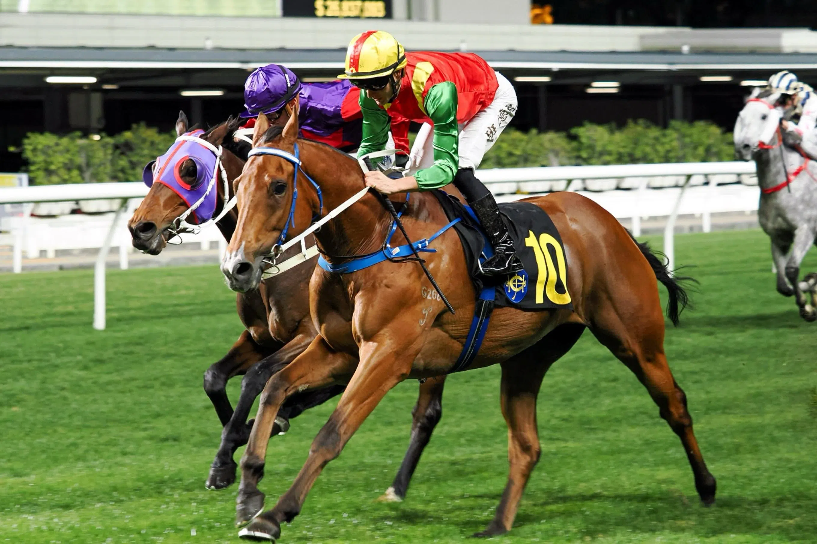 Oct 15 Hong Kong (Happy Valley) form analysis