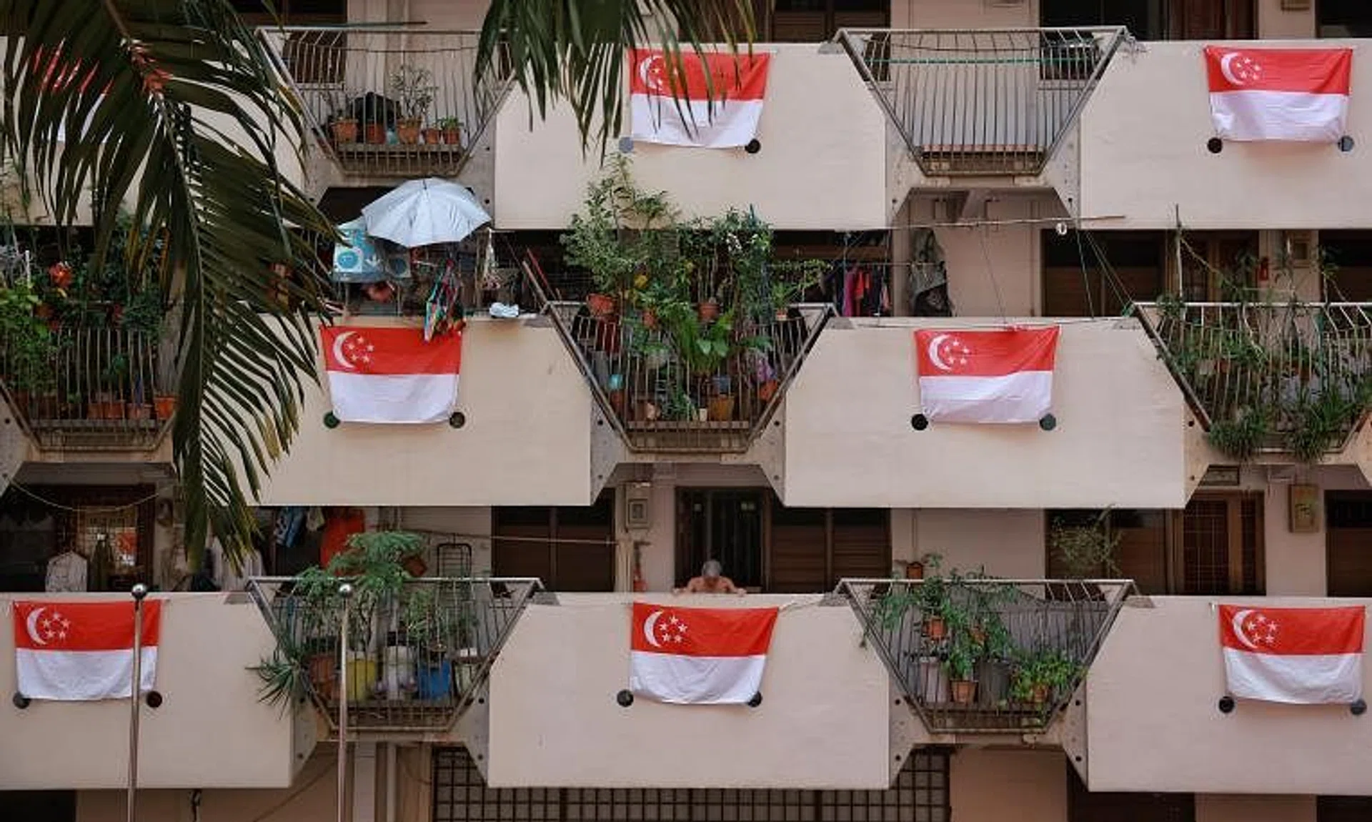 From July 1 to Sept 30, all organisations and households may display the national flag at their offices, building premises and residential premises.