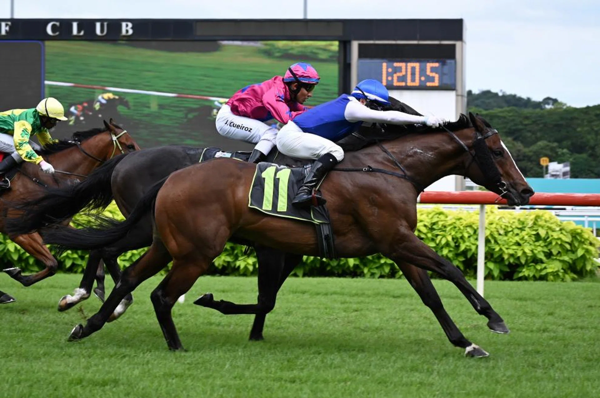 After a chequered run finding a way out upon straightening, Makin (Manoel Nunes) unleashes a powerful turn of foot to overhaul Ace Of Diamonds (Bruno Queiroz) in the nick of time in the Class 3 race (1,400m) on Feb 24.