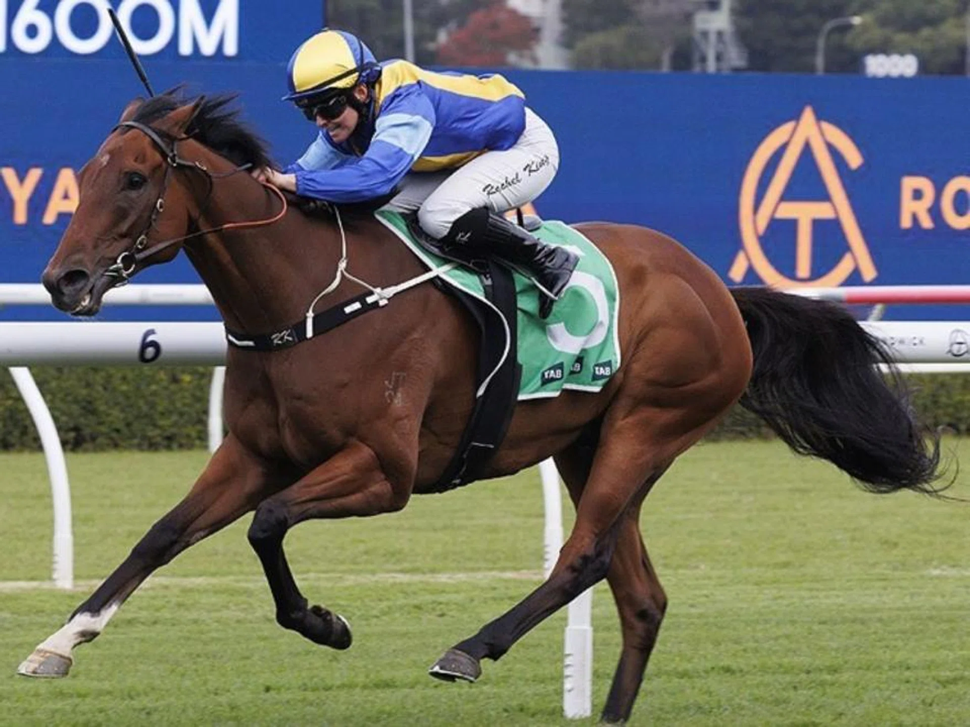 The Bjorn Baker-trained Iknowastar will be Rachel King's mount in the Listed Five Diamonds Prelude (1,500m) at Randwick on Oct 26.
