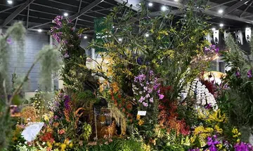 Botanic Gardens, Gardens by the Bay sweep top awards at mega orchid show