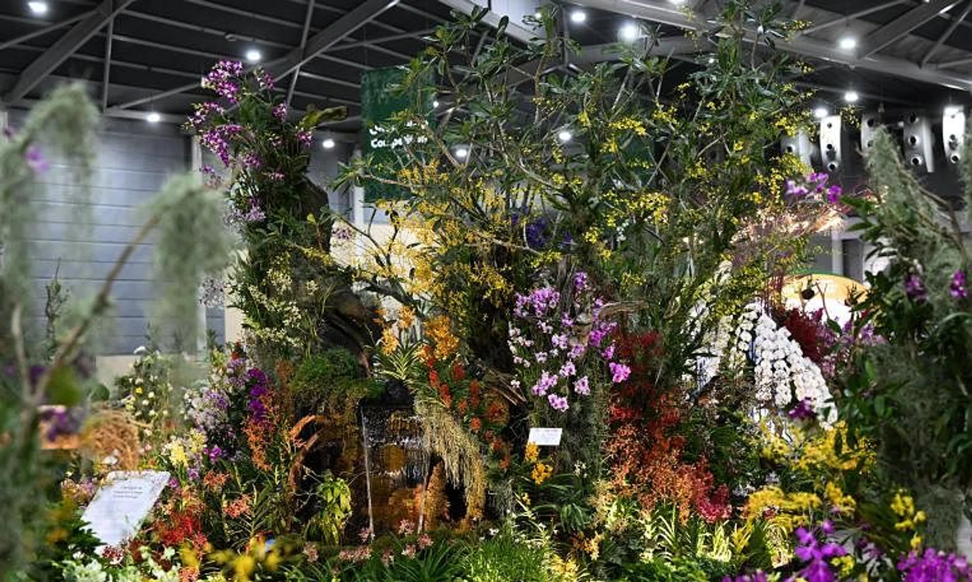 The Singapore Botanic Gardens emerged first under the Orchid Landscape Competition, where participants were tasked to create a 25 sq m garden. 