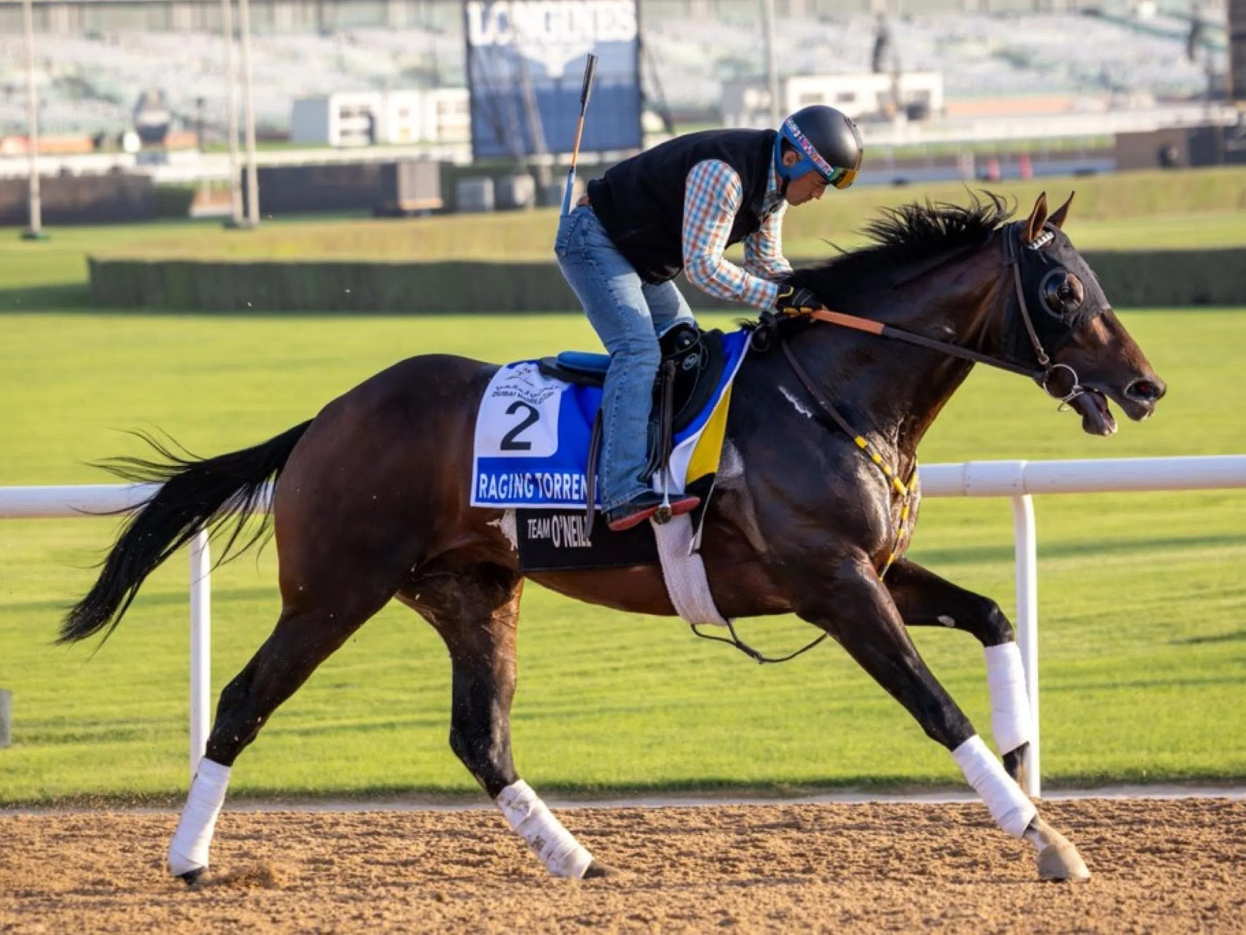 Raging Torrent is ready to take desert by storm