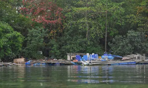 Fish farm structures strewn along shoreline of Pulau Ketam