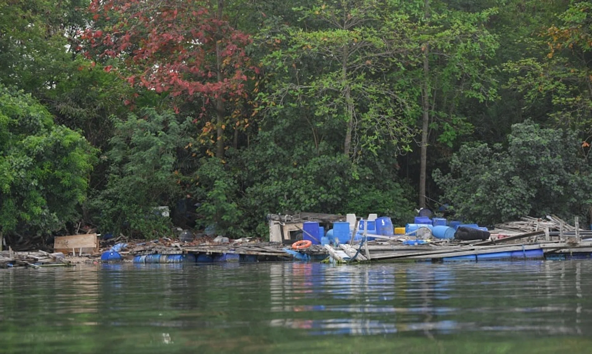 The Singapore Food Agency (SFA) said it is aware of the clutter and that clean-up is in the works. 