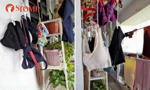 Woman hangs underwear along corridor: 'Every morning, neighbours have to see her lingerie'