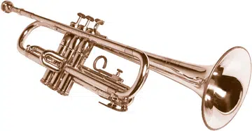 Be careful, social media can turn your voice into a Trumpet