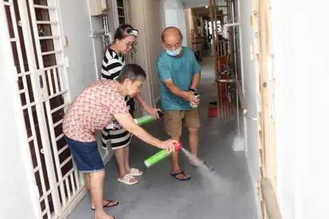 Bed bugs crawl out of AMK flat; residents stock up on insecticide