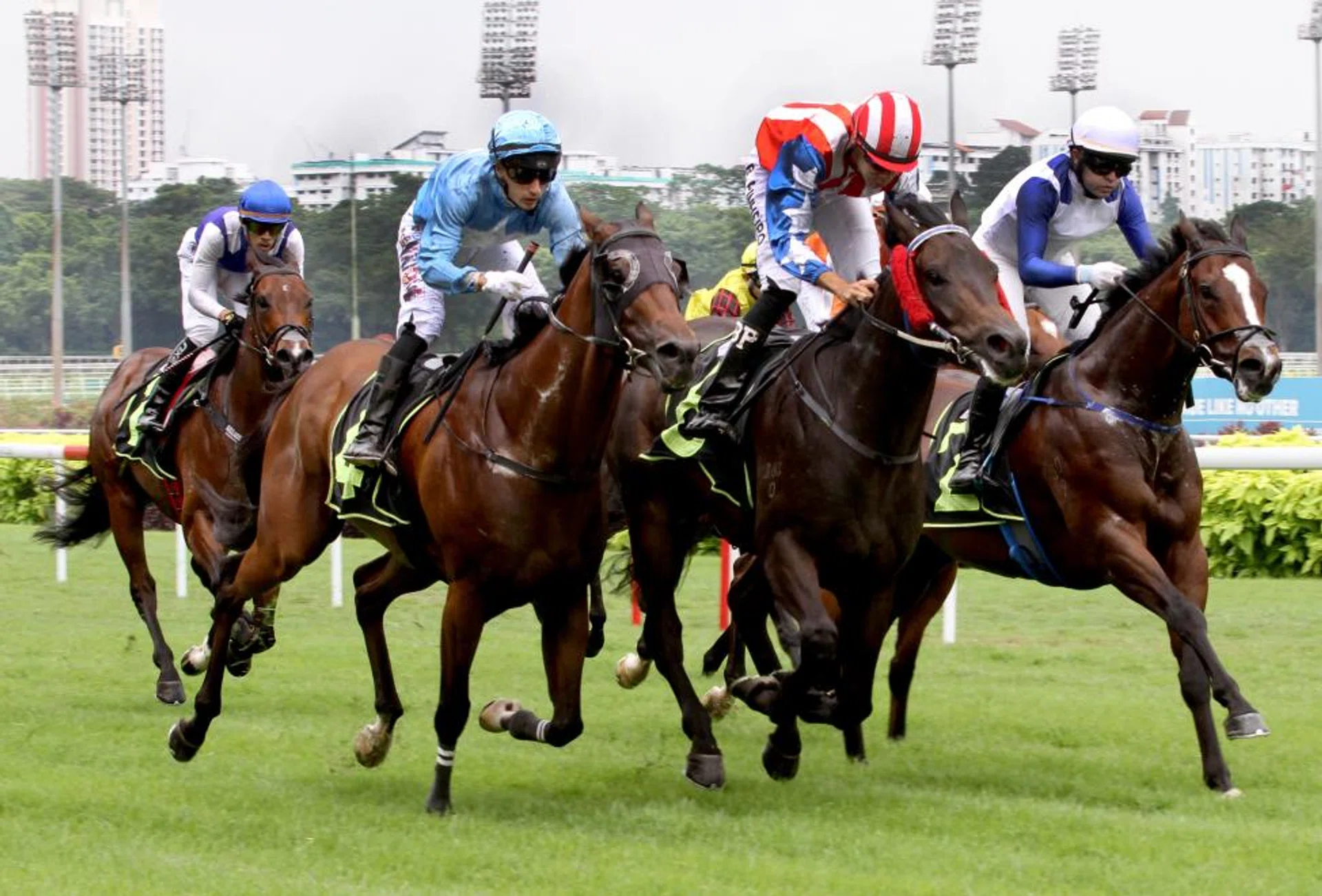 Makin (Manoel Nunes, far right) emerging a narrow winner in a blanket finish to the Class 1 (1,400m) race on Sept 21. Big Union (Bernardo Pinheiro, striped cap) runs a shorthead second, with Big Hearted (Carlos Henrique) third another neck away.