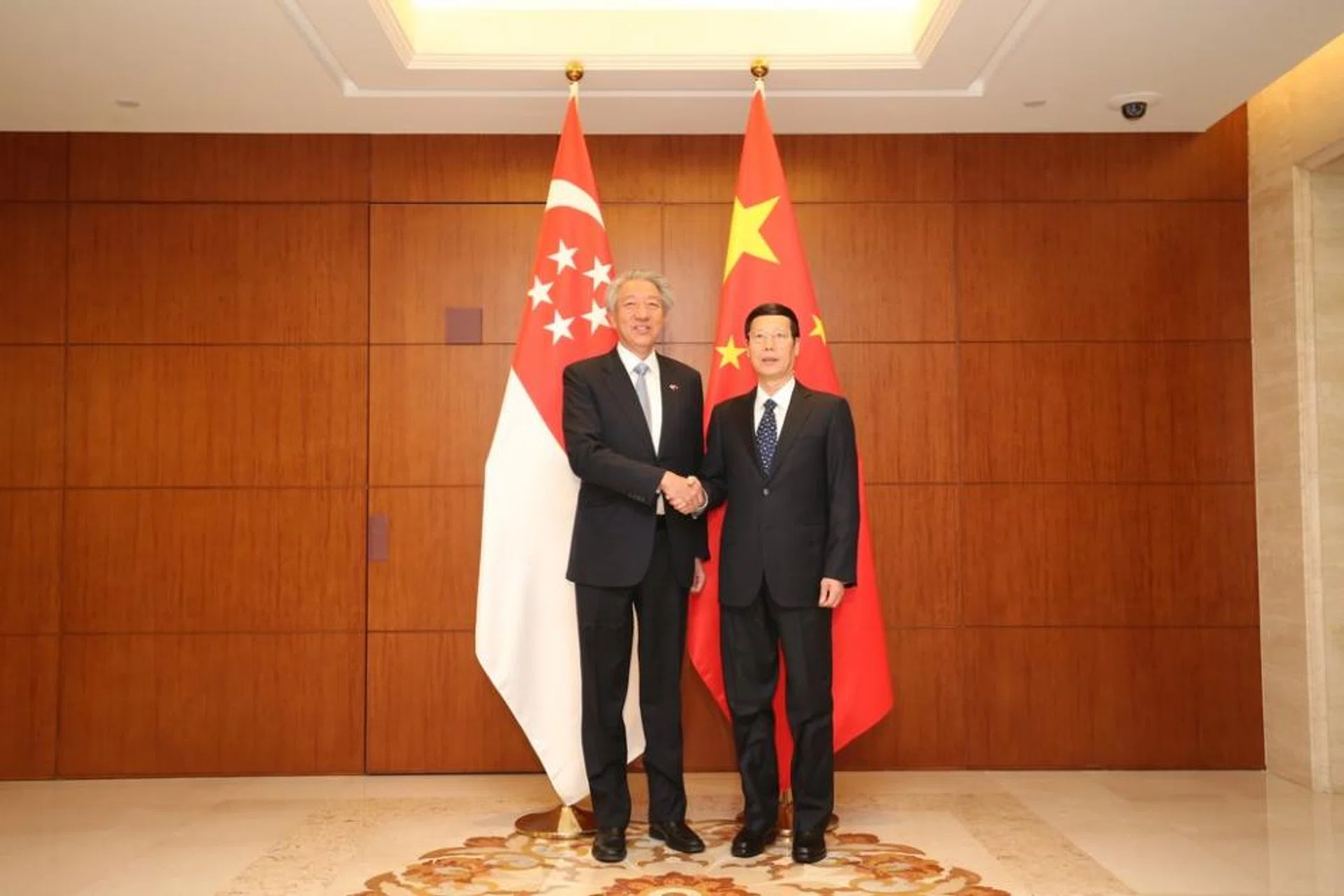 DPM Teo Chee Hean meets China's Vice Premier Zhang Gaoli.