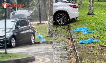 Family dump raincoats on the ground at East Coast Park and drives off in BMW