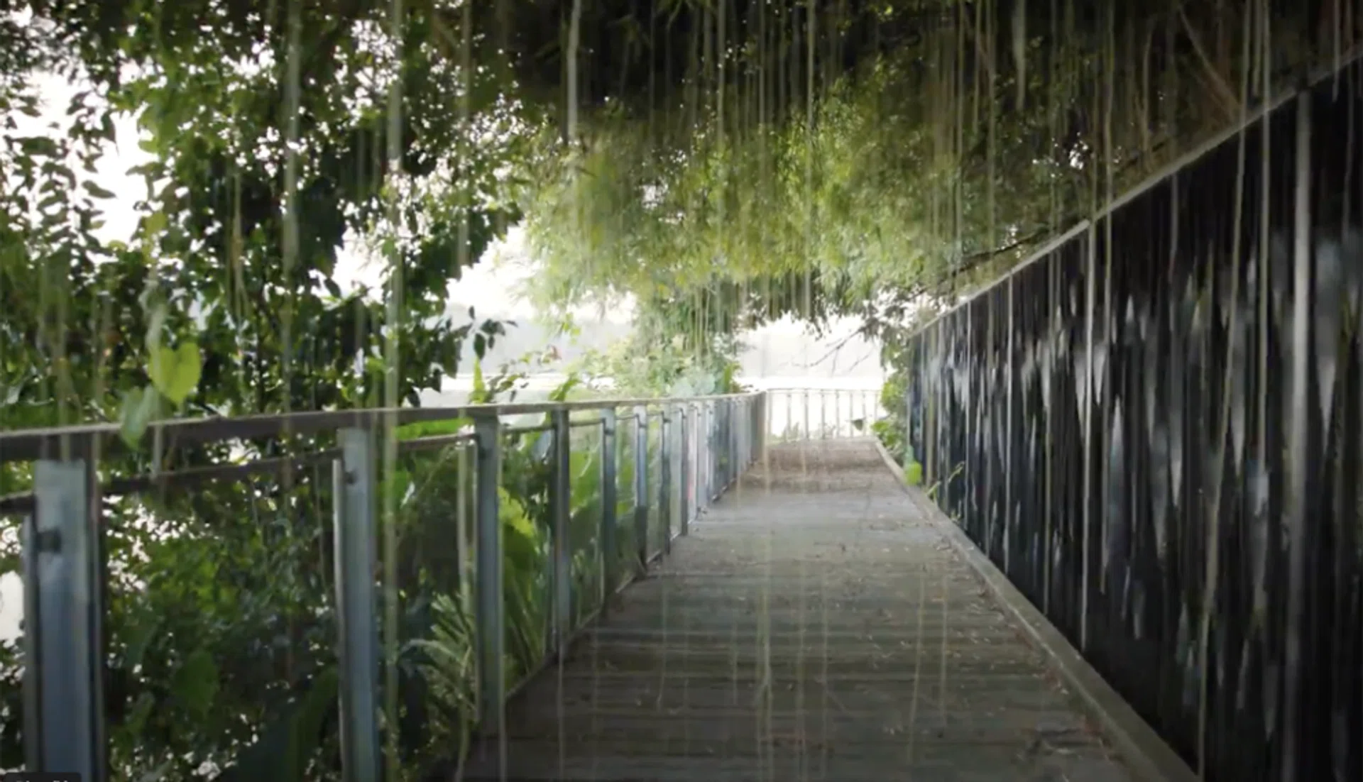 The 3.3km-long boardwalk will skirt the perimeter of River Wonders and Singapore Zoo.