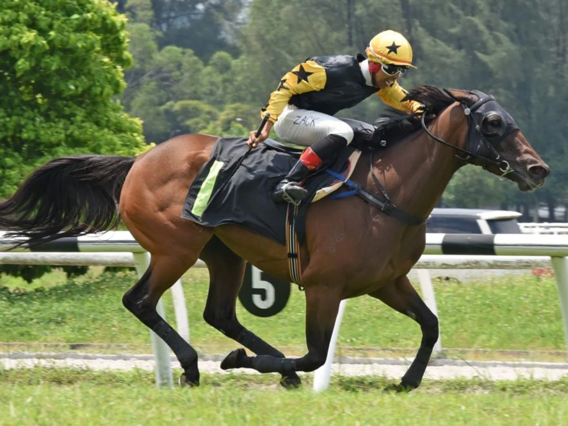 The last time Uptown Girl won was in a Class 5A (1,275m) at Sungai Besi on May 5, 2024. Nick Selvan's mare had Khairil Zulkiflee up.
