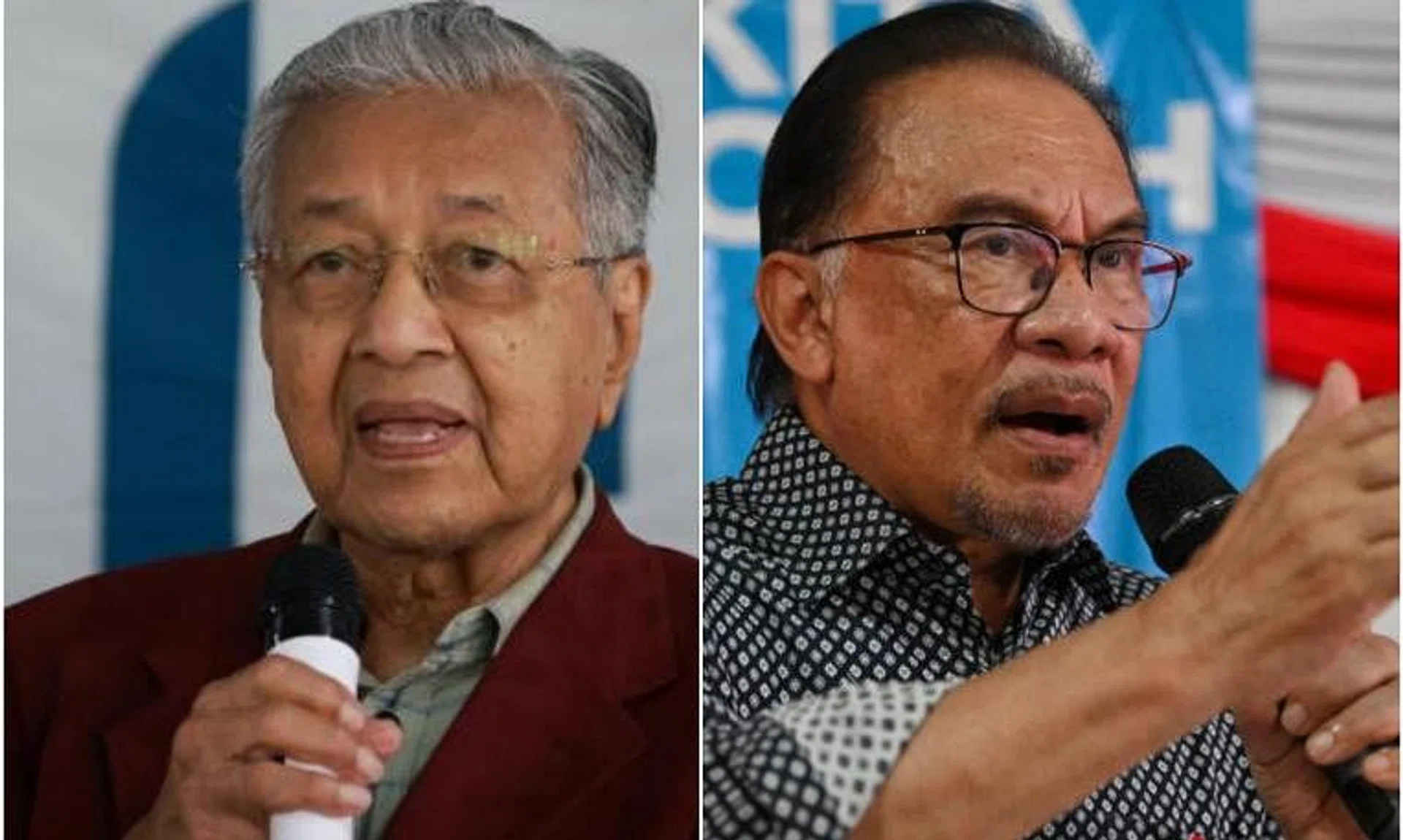 Former premier Mahathir Mohamad said this was the reason Datuk Seri Anwar failed to secure the majority to form the government.